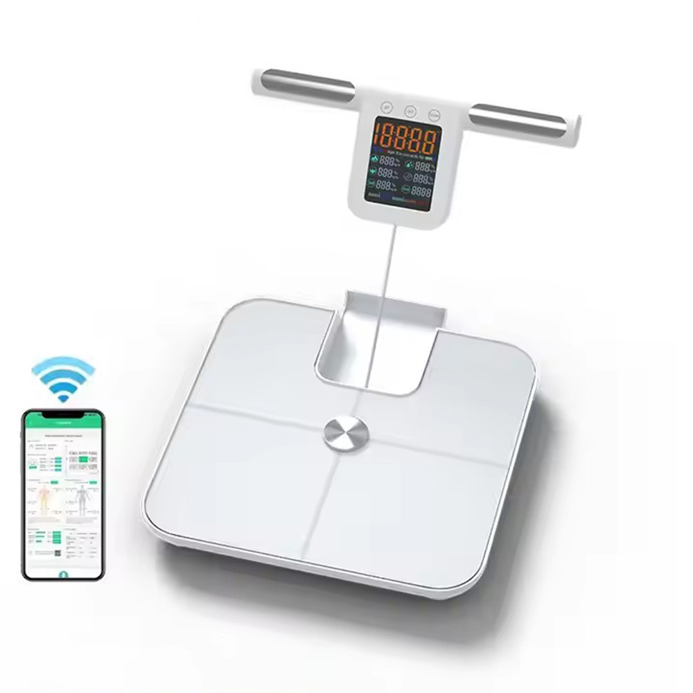 Smart Body Fat Scale for with  - đánh giá và giá Body Fat Scale Smart