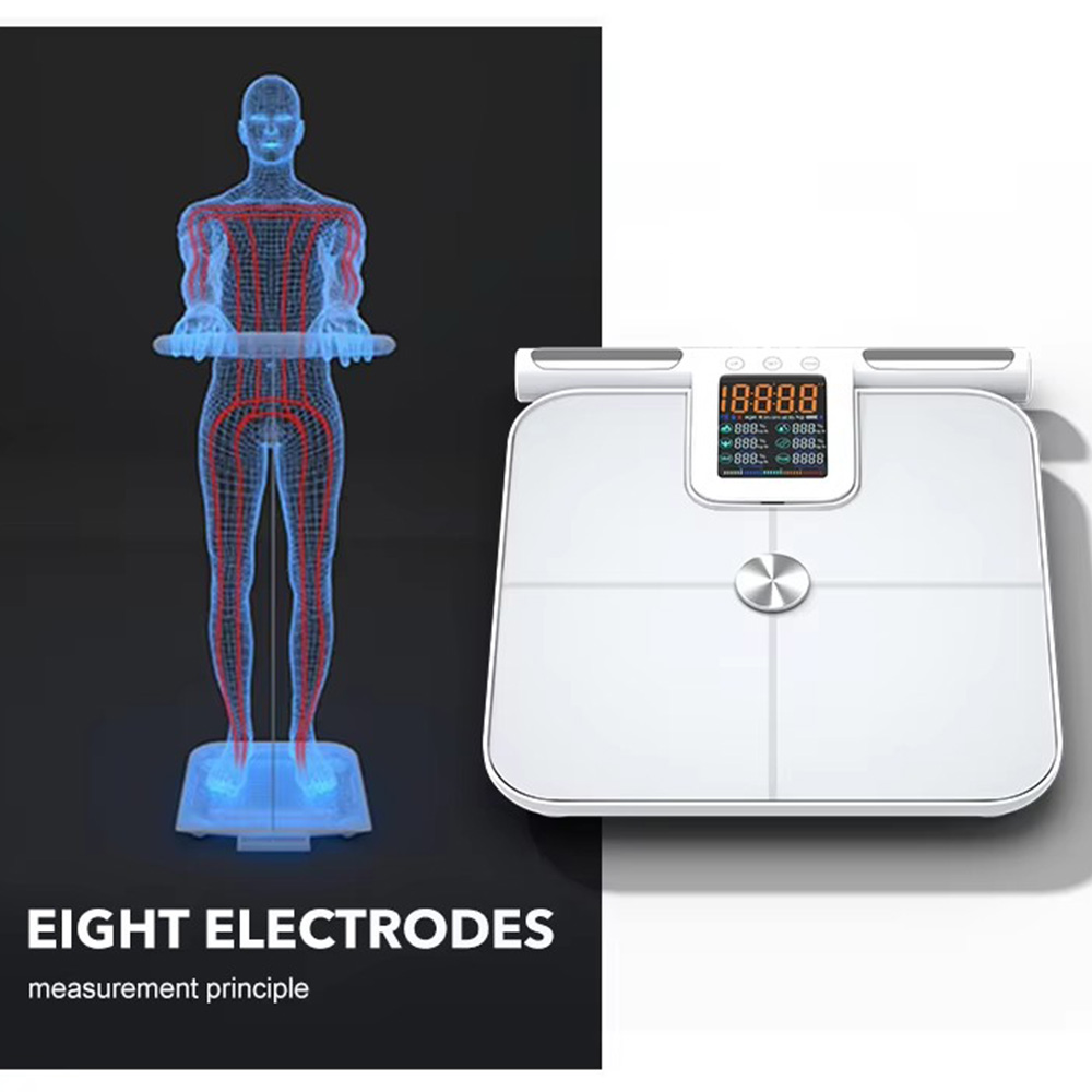 Smart Body Fat Scale for with  - đánh giá và giá Body Fat Scale Smart