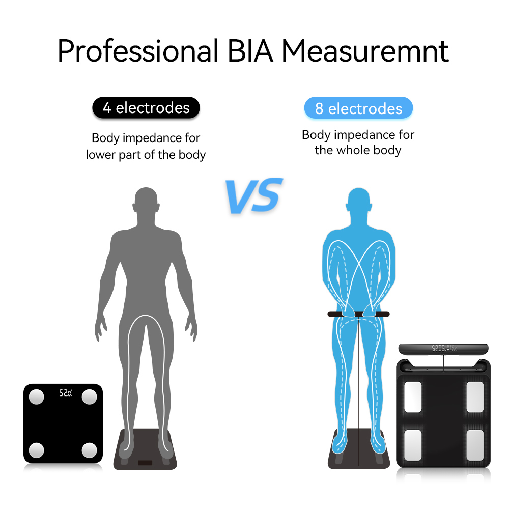 Smart Scale for Body Weight, F - đánh giá và giá Body Fat Scale Smart