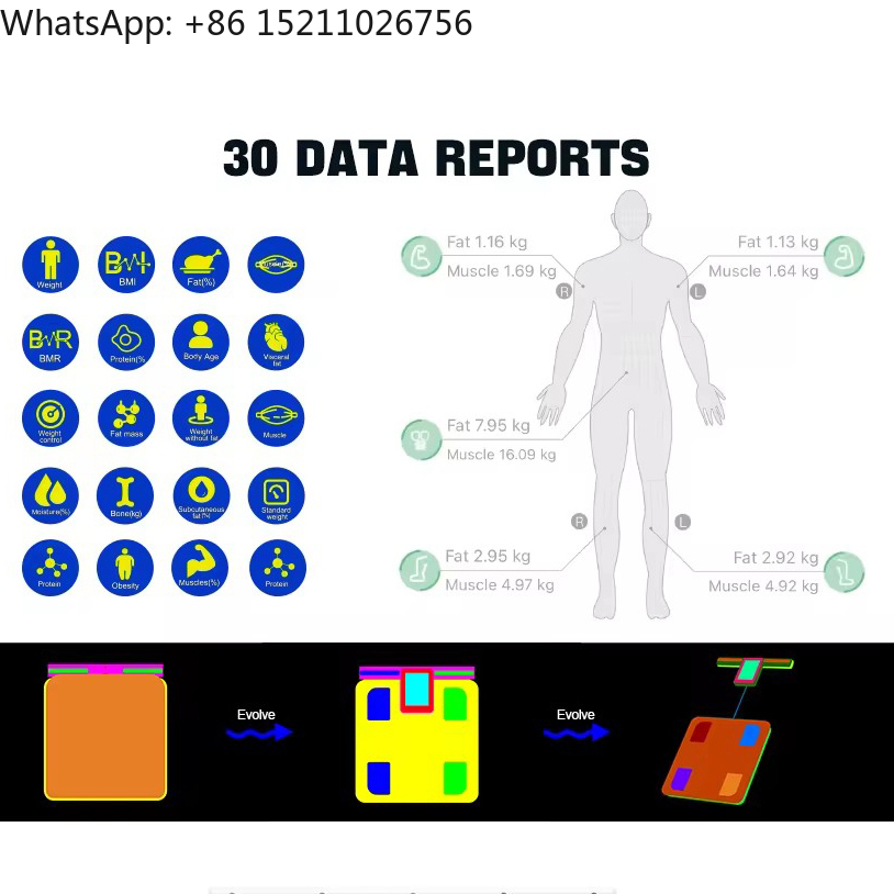 Factory 30 Body Data 8 Electro - đánh giá và giá Body Fat Scale Smart